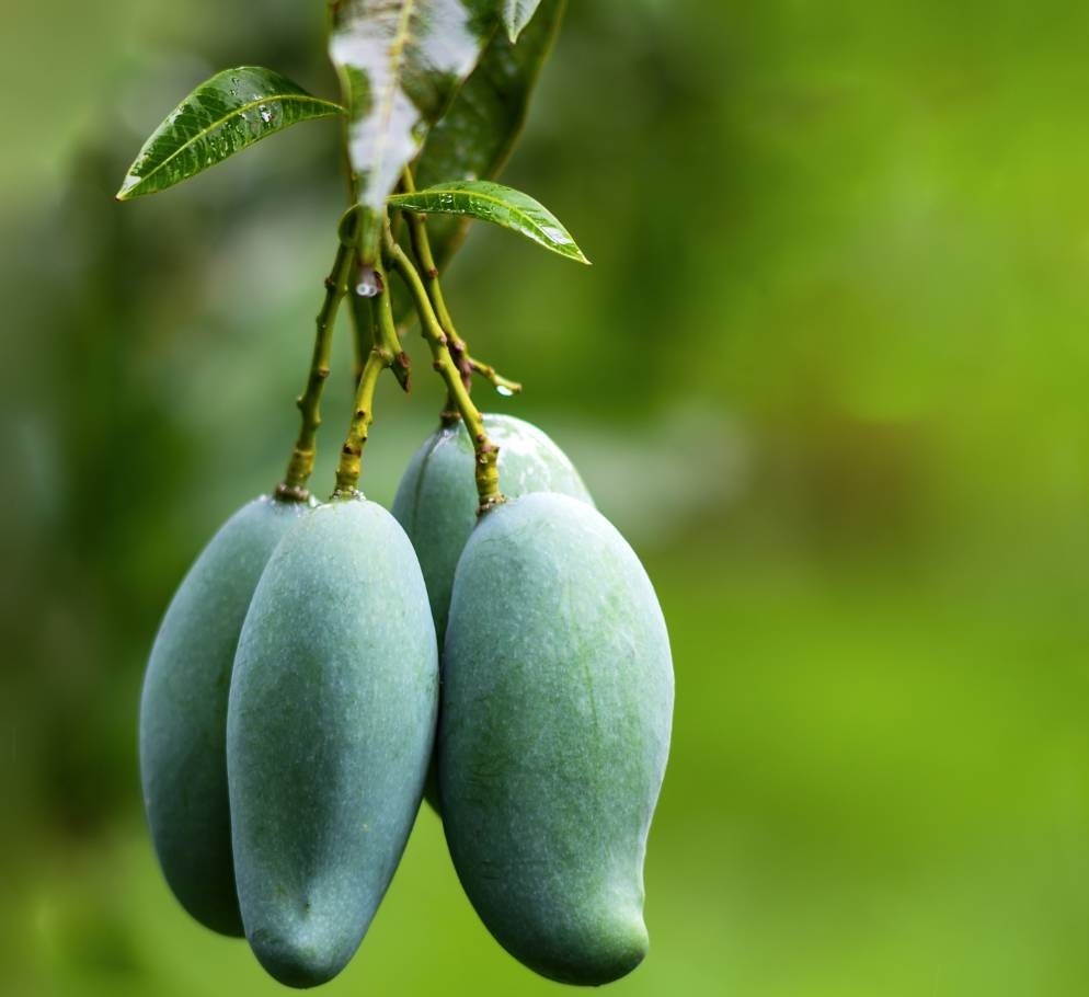 1685608693675275.jpg?x-oss-process=style/w10